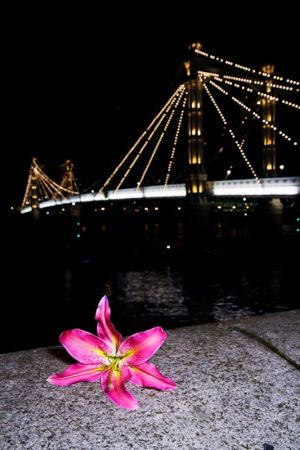 LONDON LANDSCAPE PHOTOGRAPHER_EUROPE_026.jpg